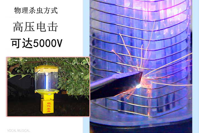 高壓殺蟲燈什麽價格，讓麻豆精品在线观看视频告訴你