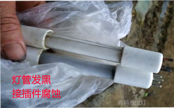 亚洲AV成人网站在线观看麻豆燈管發黑燒壞了