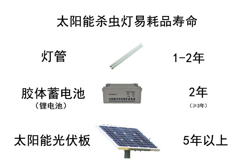 亚洲AV成人网站在线观看麻豆壽命使用多久 亚洲AV成人网站在线观看麻豆壽命使用多久