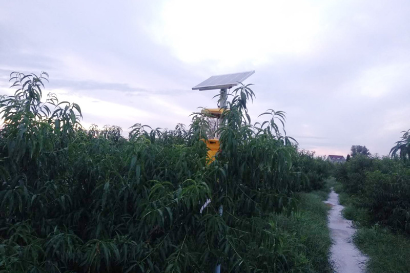 黑光燈多少錢？確定好黑光燈種類，不要買錯了
